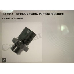 TS2648 Interruttore Termico...