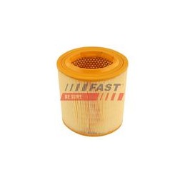 FT37101 FILTRO ARIA ALFA...