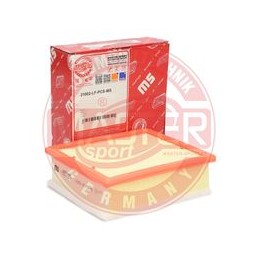 21002-LF-PCS-MS FILTRO ARIA...