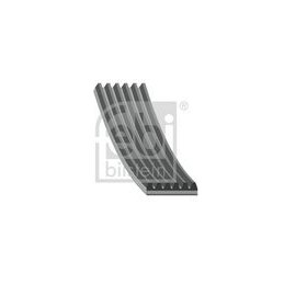 28971 CINGHIA POLY-V...