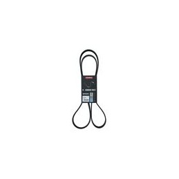7016158 CINGHIA POLY-V...